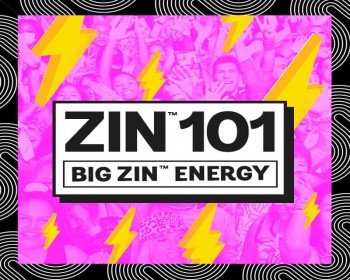 [Hot Sale]2022 Q4 Latest New Release ZUMBA 101 ZIN 101 VIDEO+MUSIC